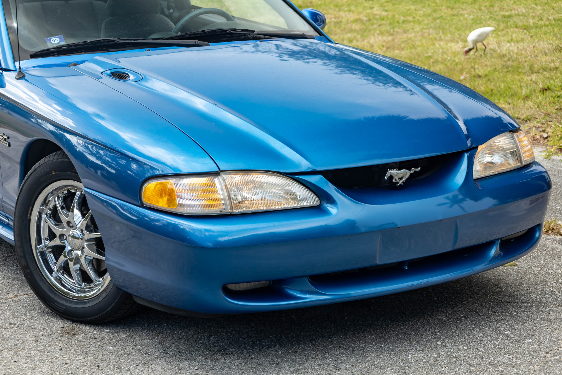 Pre-Owned 1994 Ford Mustang GT For Sale (Sold) | VB Autosports