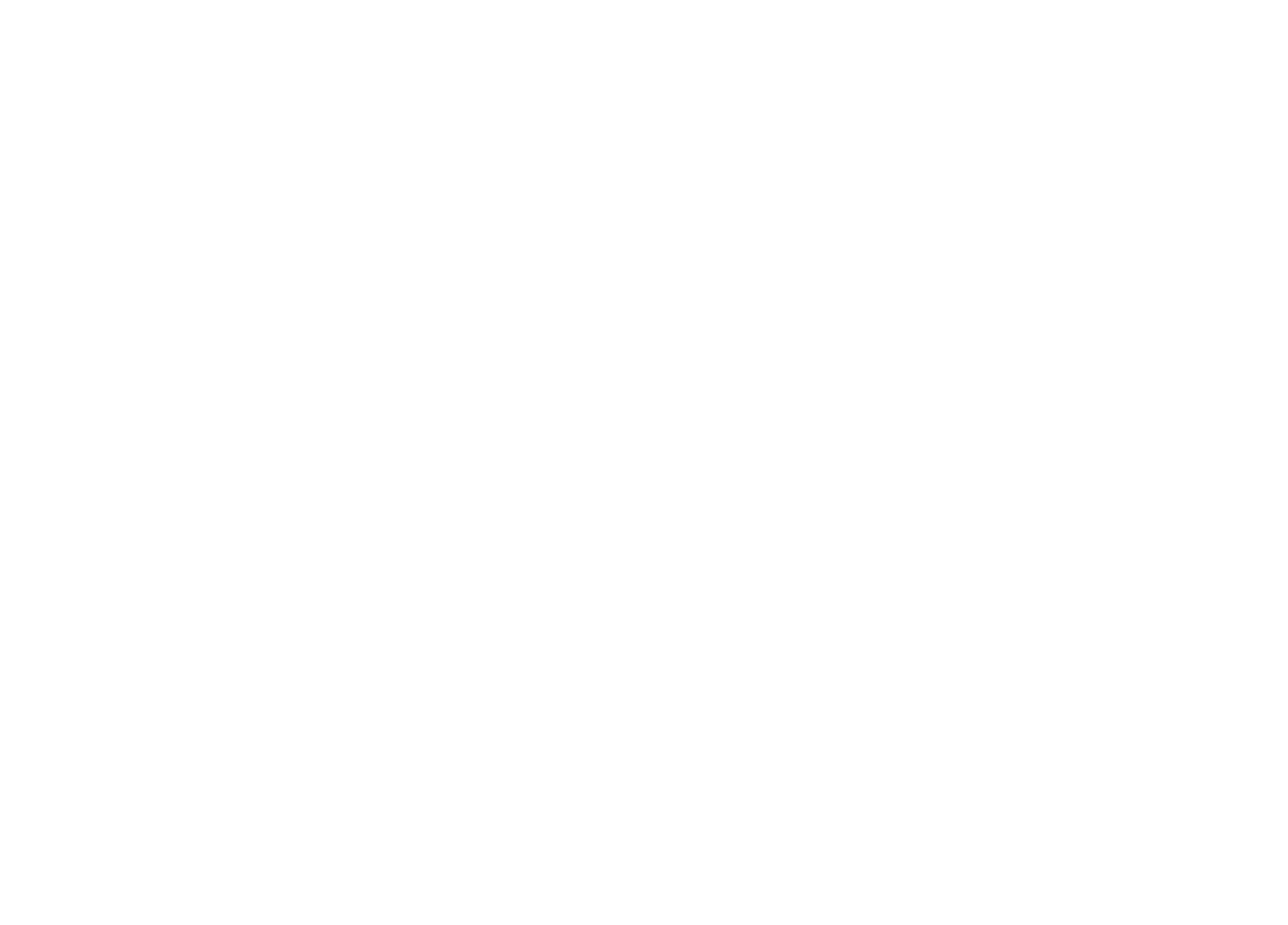 Bat Logo